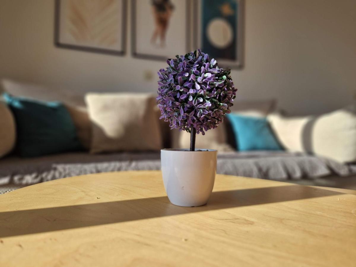 City Apartment Sanja มาคาร์สกา ภายนอก รูปภาพ